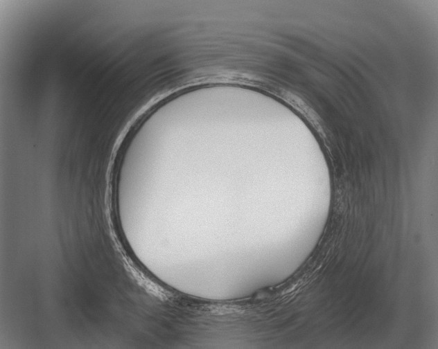 X0000081581136200702121441