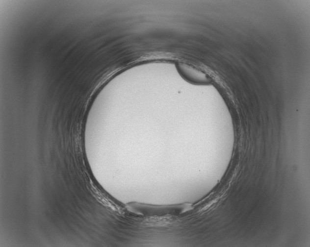 X0000081581137200702121441