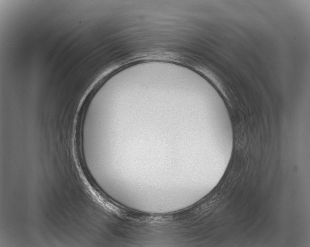 X0000081581139200702121441