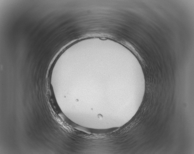 X0000081581140200702121441