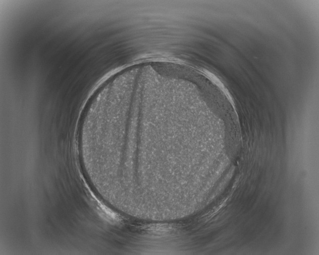 X0000081581141200702121441