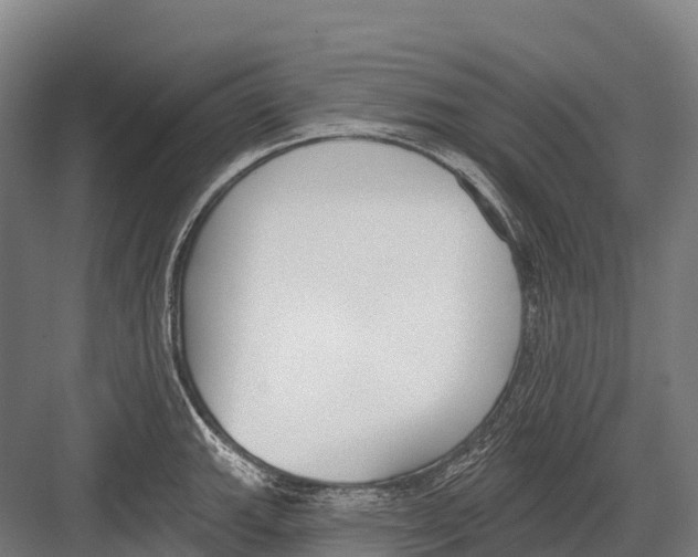 X0000081581143200702121441