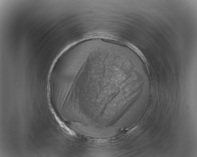 X0000081581144200702121441