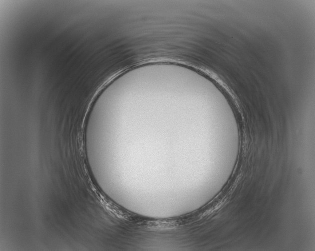 X0000081581145200702121441