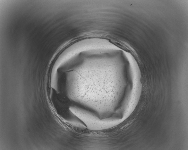 X0000081581146200702121441