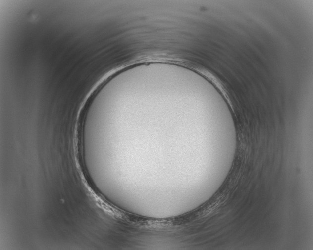 X0000081581147200702121441