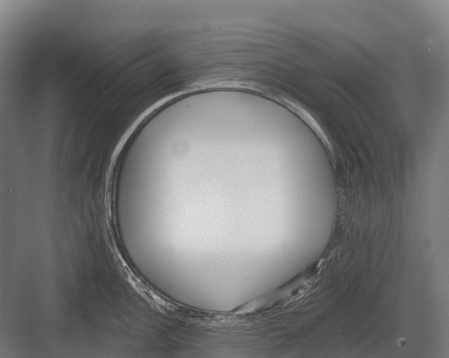 X0000081581148200702121441