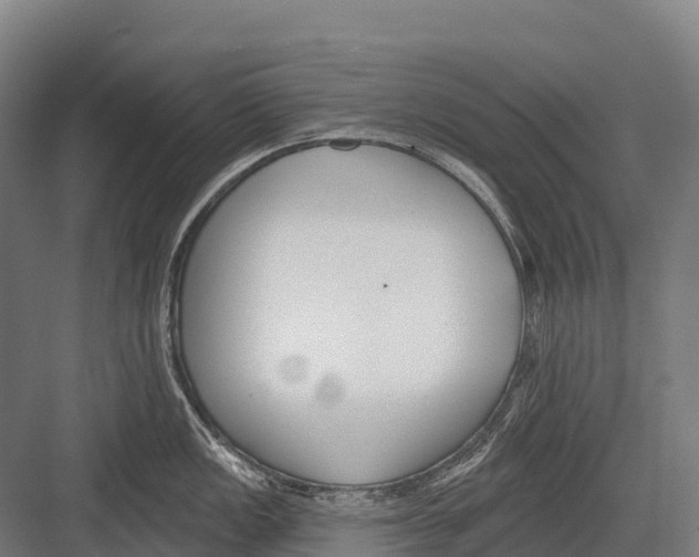 X0000081581149200702121441