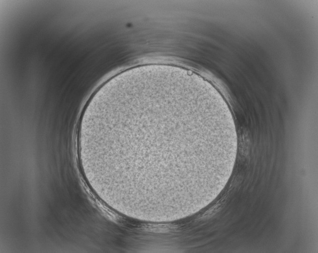 X0000081581150200702121441