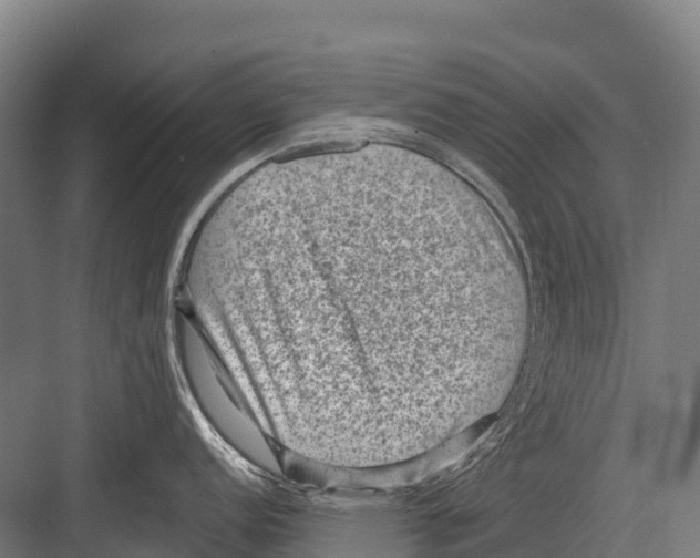 X0000081581152200702121441