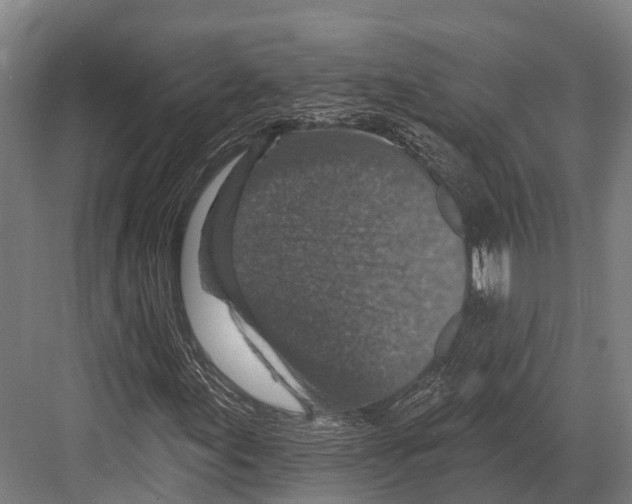 X0000081581155200702121440