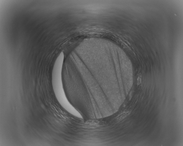 X0000081581156200702121440