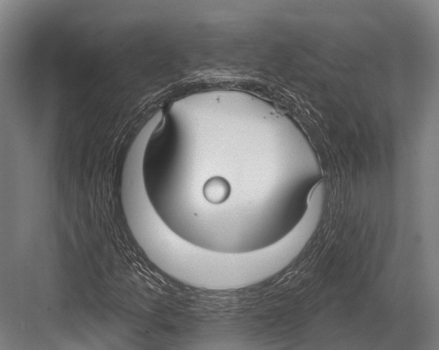 X0000081581157200702121440