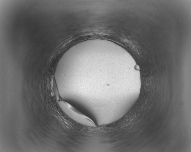 X0000081581159200702121440