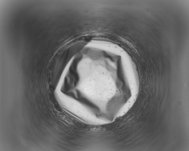 X0000081581160200702121440