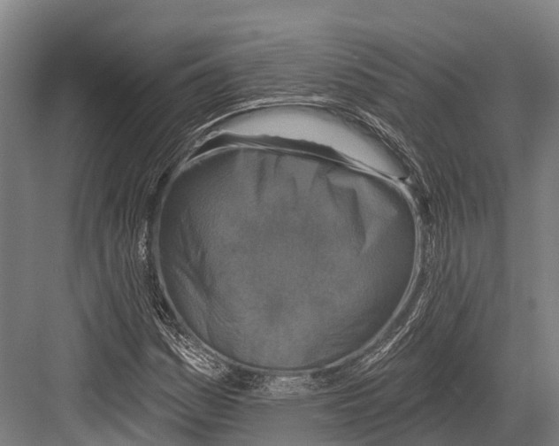 X0000081581161200702121440