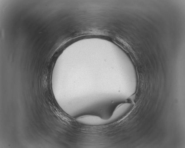 X0000081581163200702121440