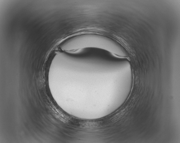 X0000081581164200702121440