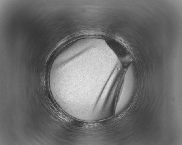 X0000081581165200702121440