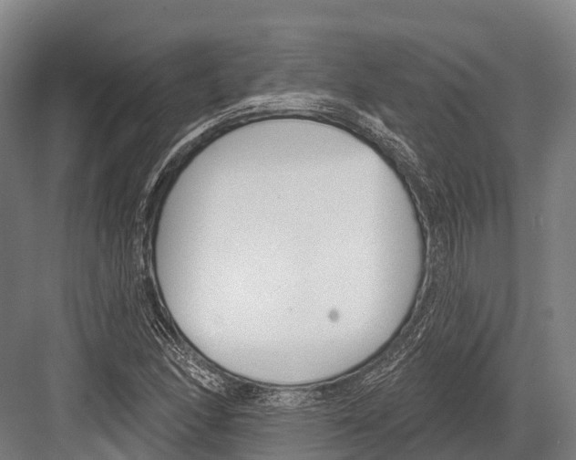 X0000081581166200702121440