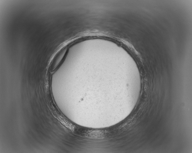 X0000081581167200702121440