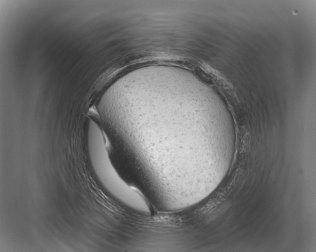 X0000081581169200702121440