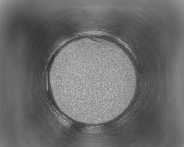 X0000081581171200702121440