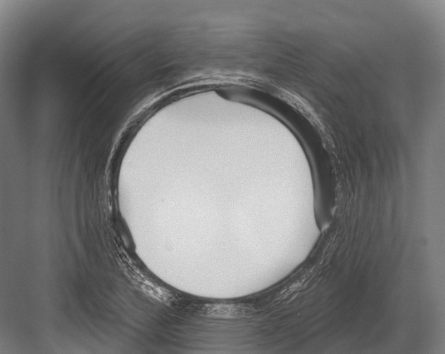 X0000081581172200702121440