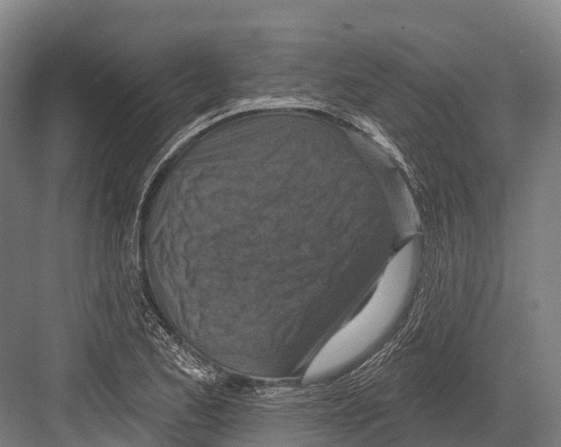 X0000081581173200702121440