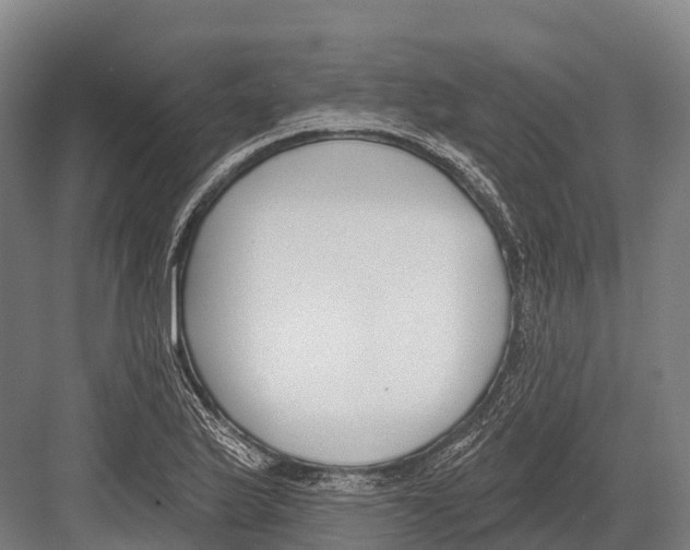 X0000081581175200702121440