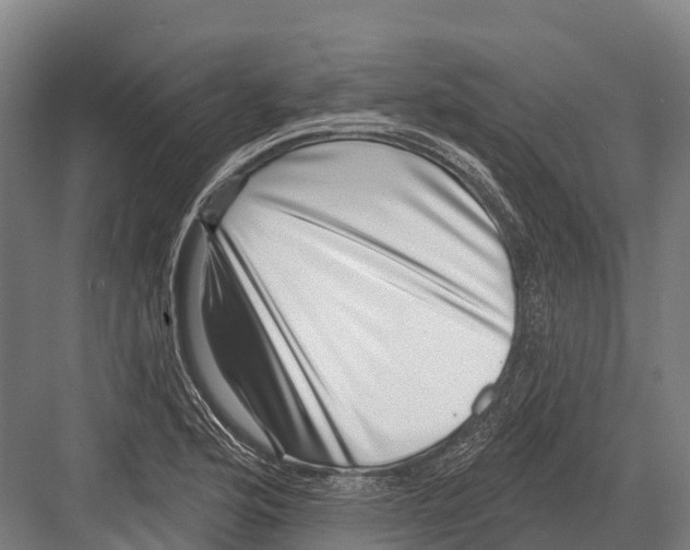 X0000081581176200702121440