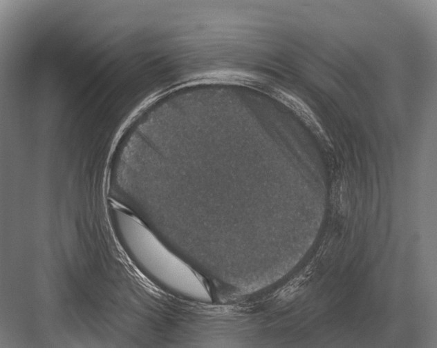 X0000081581180200702121440