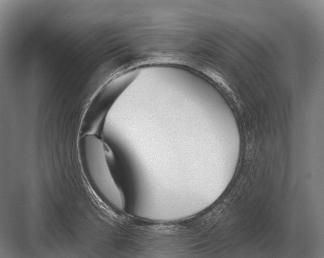 X0000081581181200702121440