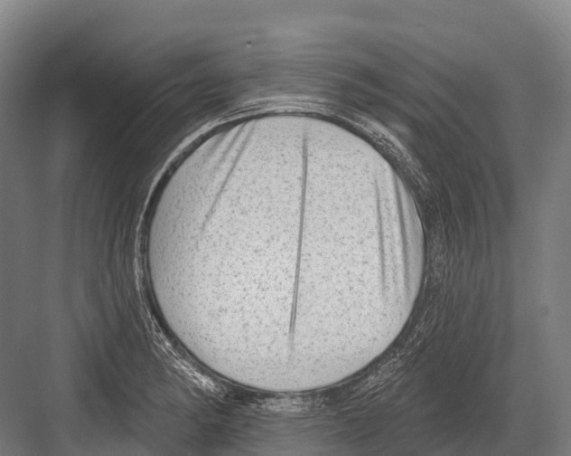 X0000081581182200702121440