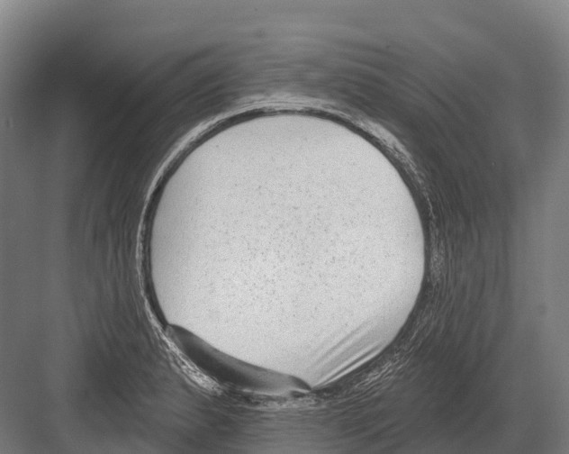 X0000081581183200702121440