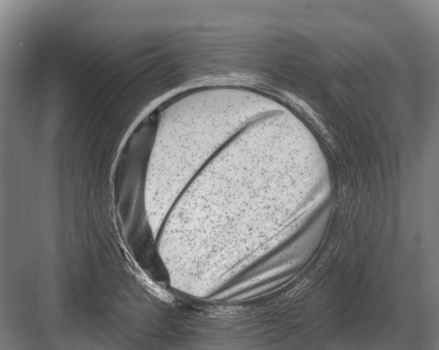 X0000081581184200702121440