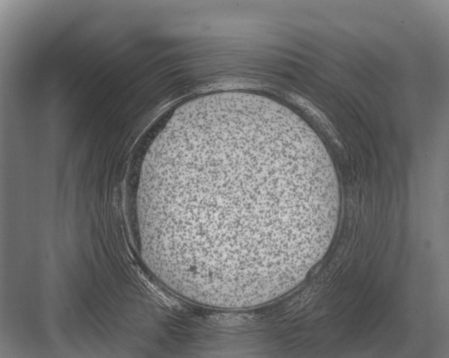 X0000081581185200702121440