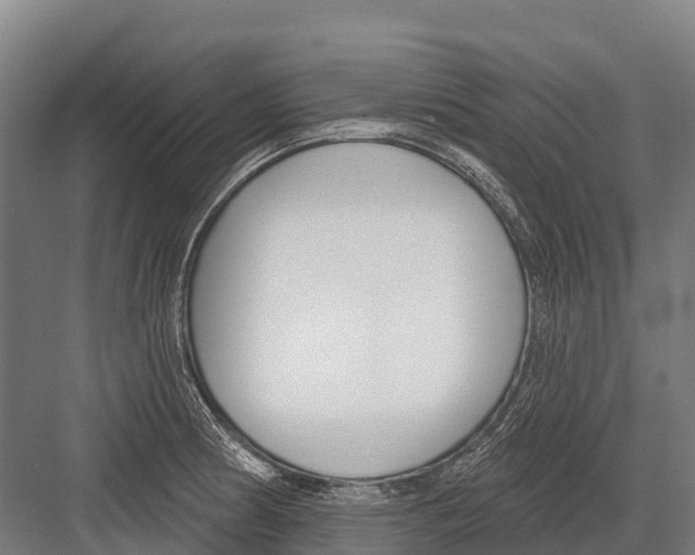 X0000081581186200702121440