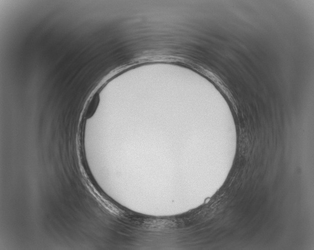 X0000081581187200702121440