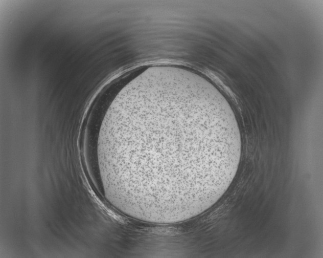 X0000081581189200702121440