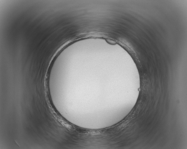 X0000081581190200702121439