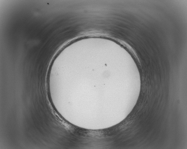 X0000081581191200702121439