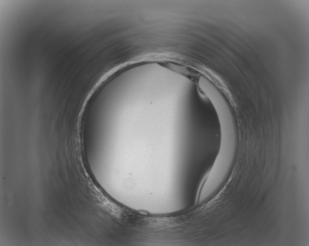 X0000081581192200702121439