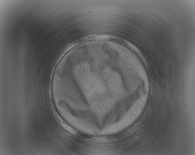 X0000081581194200702121439