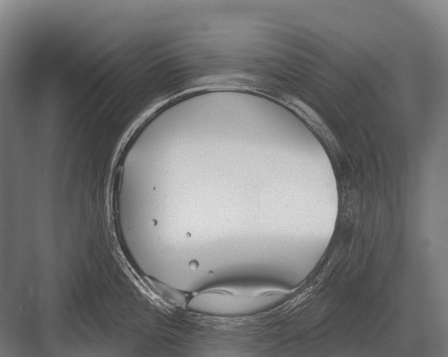 X0000081581196200702121439