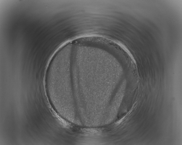 X0000081581197200702121439