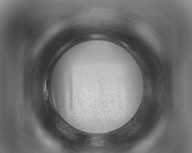 X0000081581198200702121439