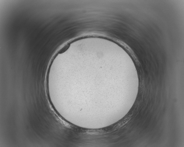 X0000081581199200702121439