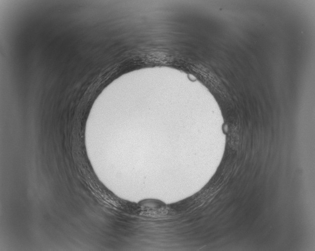 X0000081581201200702121439