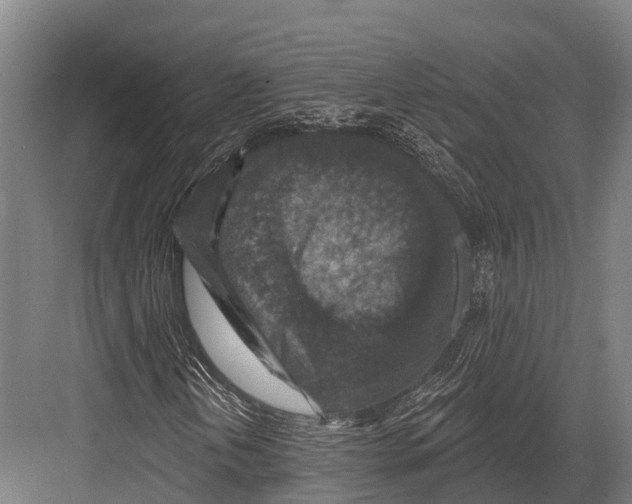 X0000081581202200702121439